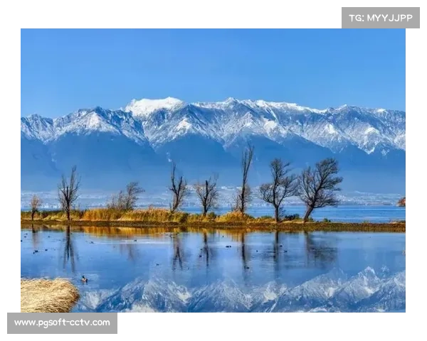 大理环云南赛串联洱海苍山,白族村落风貌成移动文化展廊
